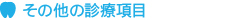 その他の診療項目